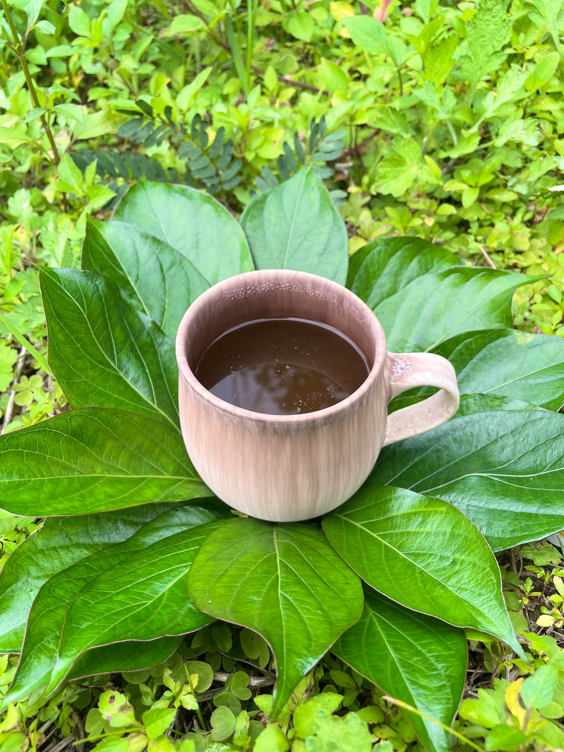 そのまま煮出して