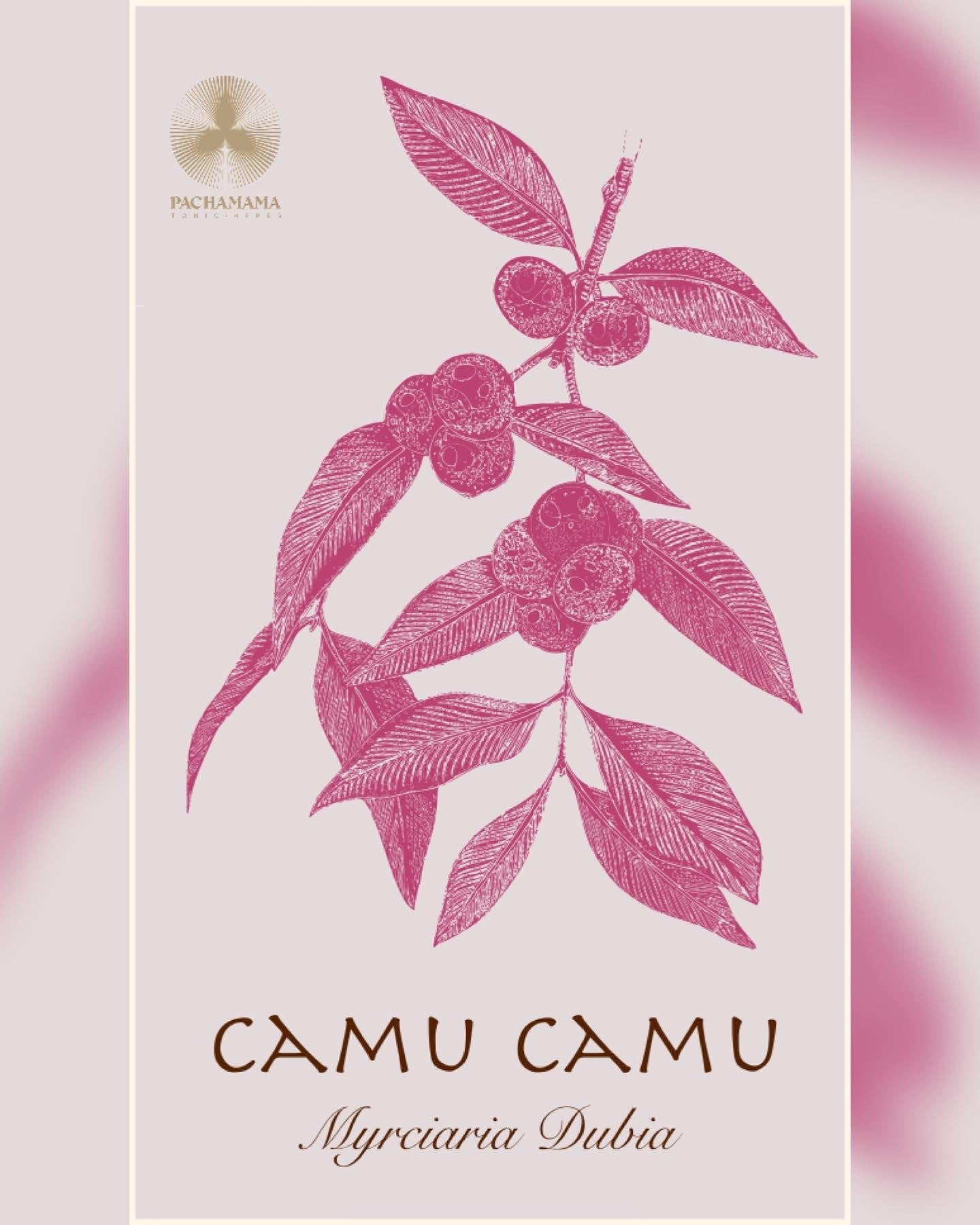 Camu Camu | カム・カム